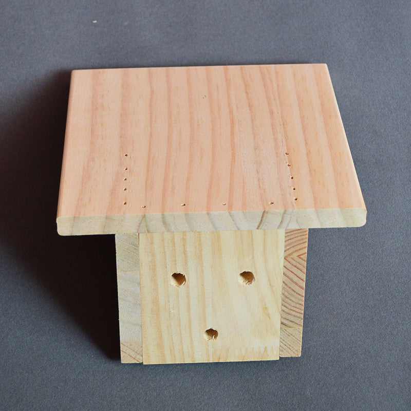 Woonwild Iep wandplank voor katten van massief hout, foto 2