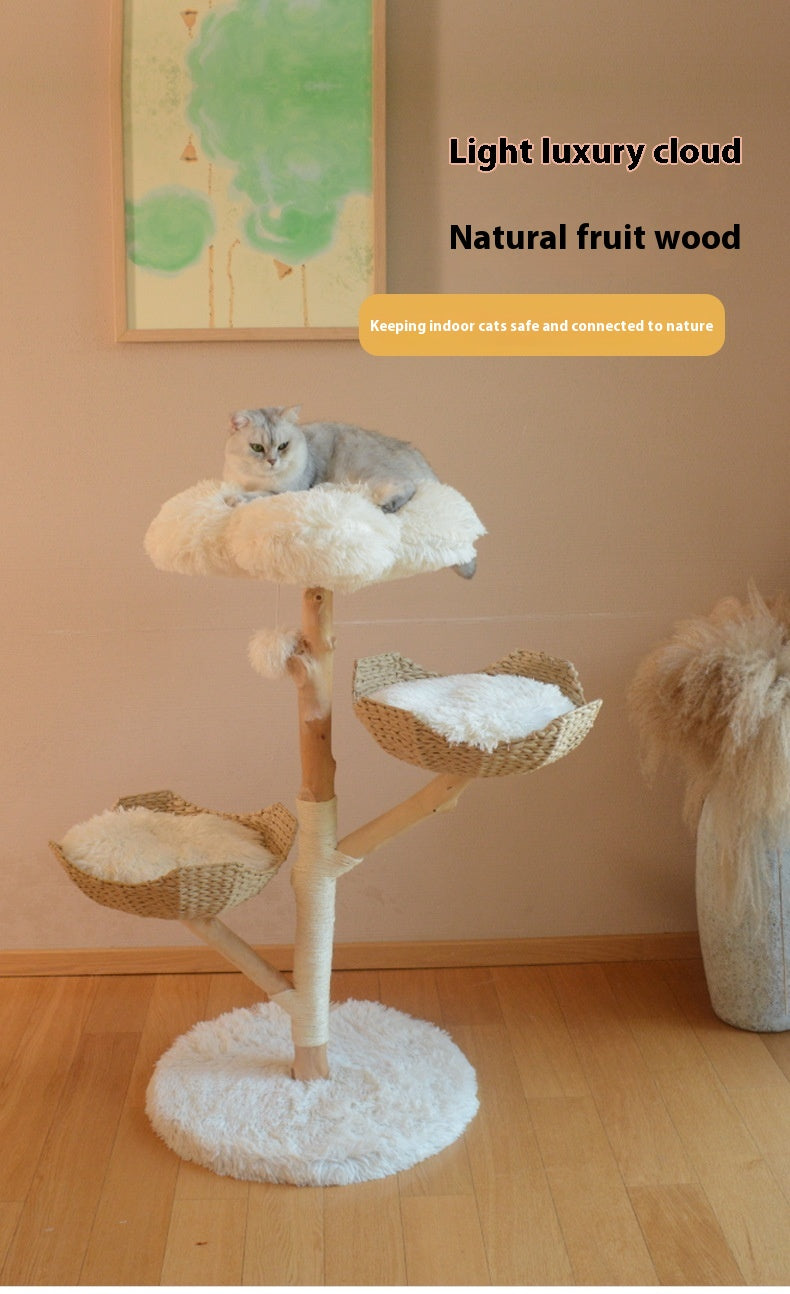 Woonwild Appelaar klimboom van fruitboomhout, foto 10