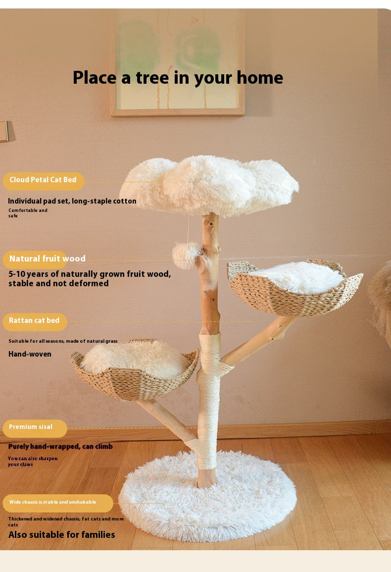 Woonwild Appelaar klimboom van fruitboomhout, foto 6