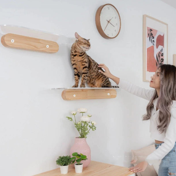 Woonwild Valk wandplank voor katten van 40 cm, foto 1